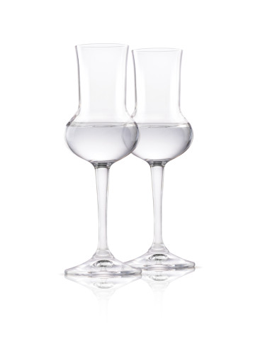 CALICE CANDOLINI 6 PZ